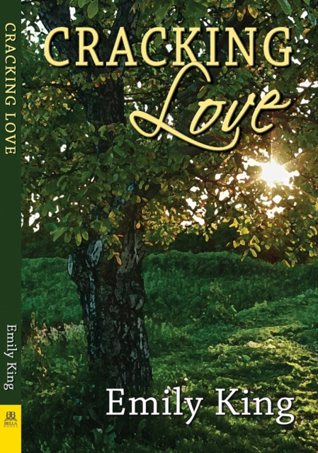 E-book Cracking Love Emily King