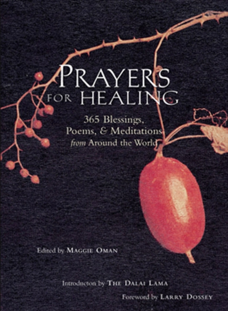 E-book Prayers for Healing Maggie Oman Shannon