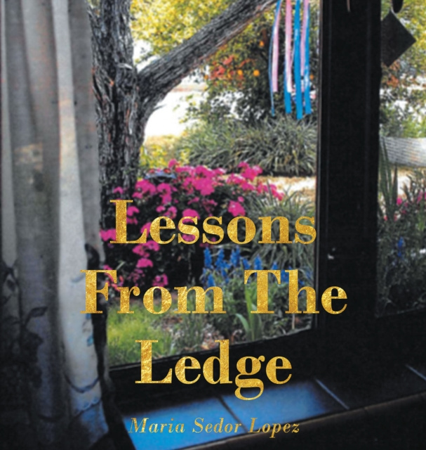 E-knjiga Lessons from the Ledge Maria Sedor Lopez
