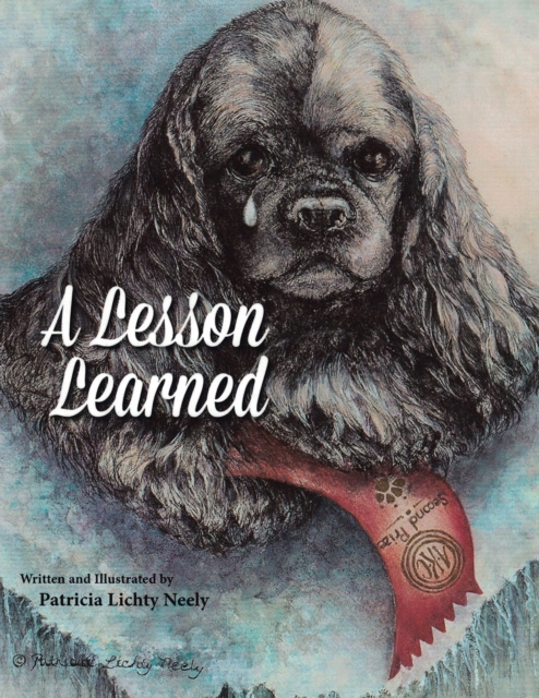 E-knjiga Lesson Learned Patricia Lichty Neely