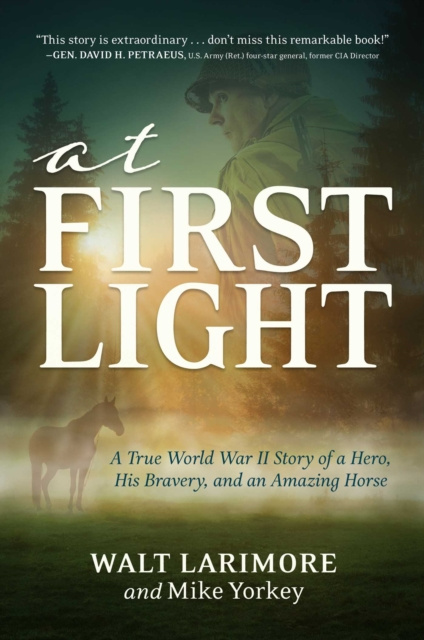 E-book At First Light Walt Larimore