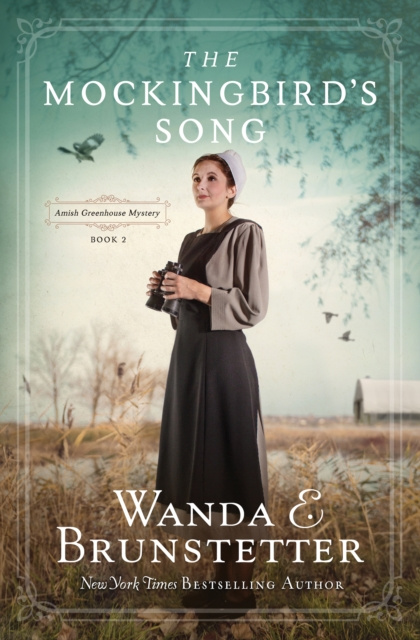 E-knjiga Mockingbird's Song Wanda E. Brunstetter