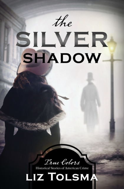 E-knjiga Silver Shadow Liz Tolsma