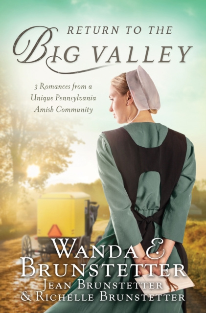 E-kniha Return to the Big Valley Wanda E. Brunstetter