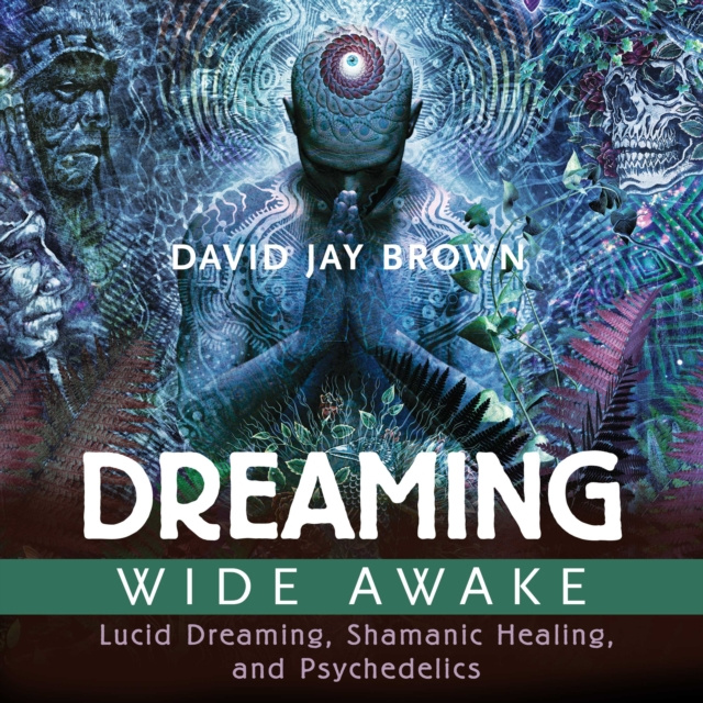 Audiokniha Dreaming Wide Awake David Jay Brown