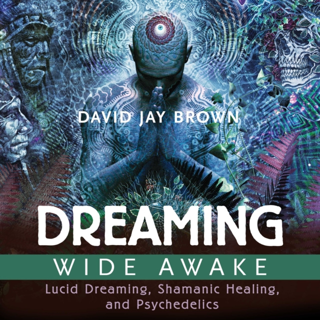 Hörbuch Dreaming Wide Awake David Jay Brown