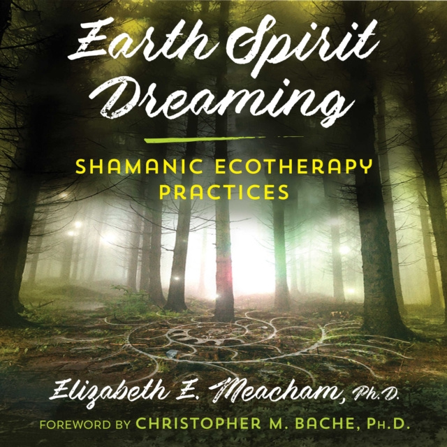 Livre audio Earth Spirit Dreaming Elizabeth E. Meacham