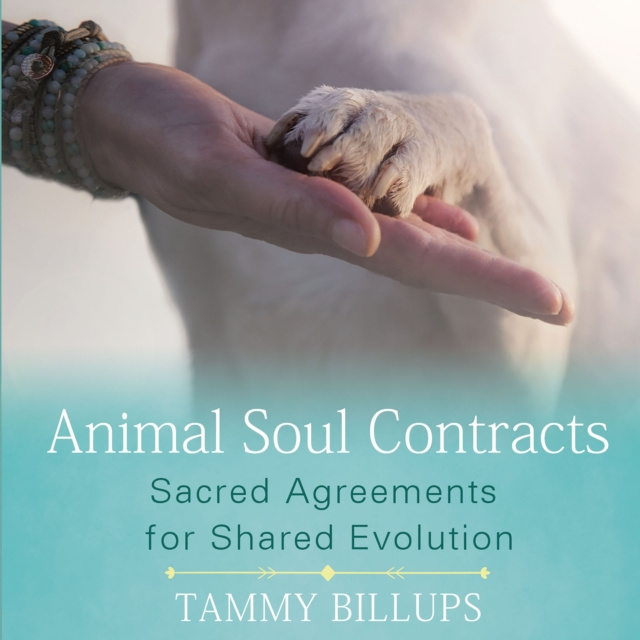 Аудиокнига Animal Soul Contracts Tammy Billups