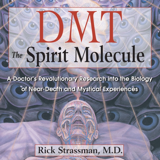Audiokniha DMT: The Spirit Molecule Rick Strassman