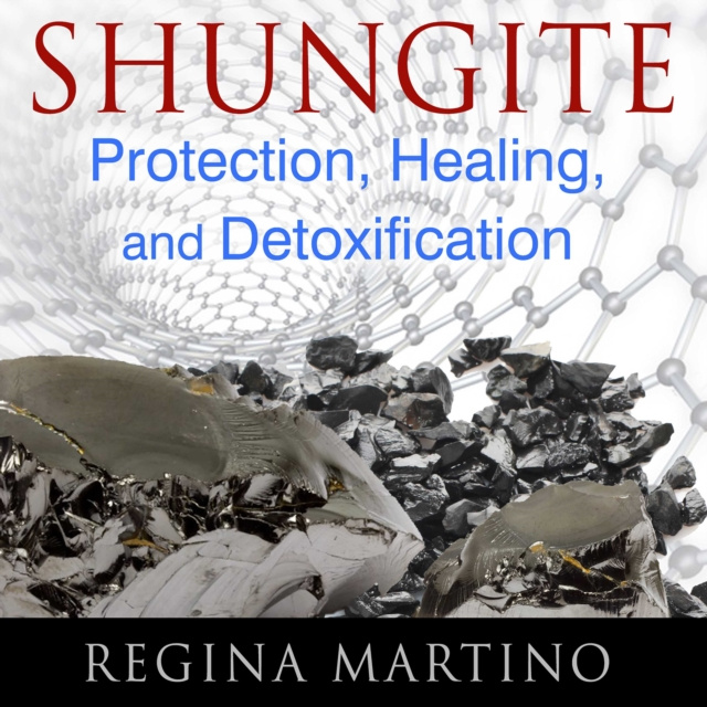 Hörbuch Shungite Regina Martino