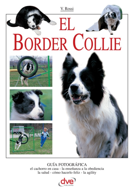 E-knjiga El border collie Valeria Rossi