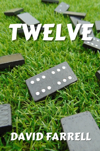 E-knjiga Twelve David Farrell