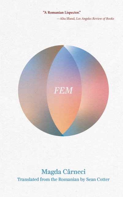 E-book FEM Magda Carneci