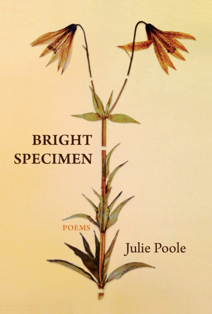 E-knjiga Bright Specimen Julie Poole