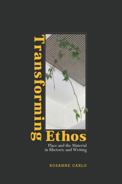 E-knjiga Transforming Ethos Carlo Rosanne Carlo