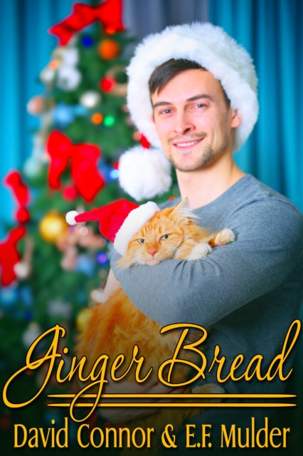 E-knjiga Ginger Bread David Connor