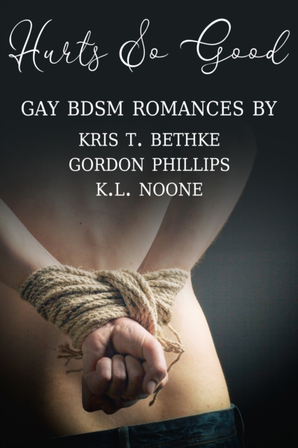 E-knjiga Hurts So Good Kris T. Bethke