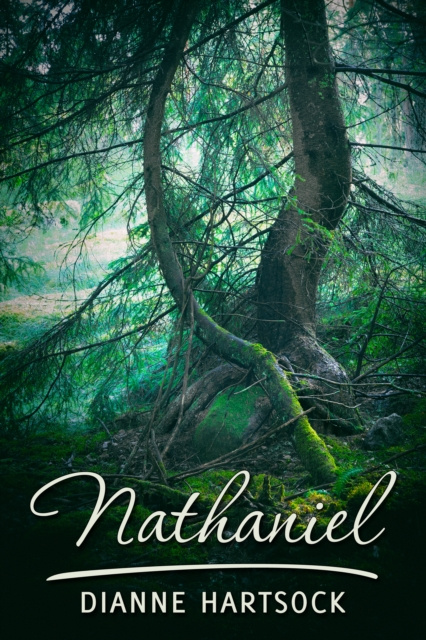E-knjiga Nathaniel Dianne Hartsock