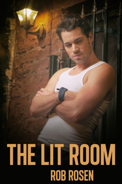 E-book Lit Room Rob Rosen