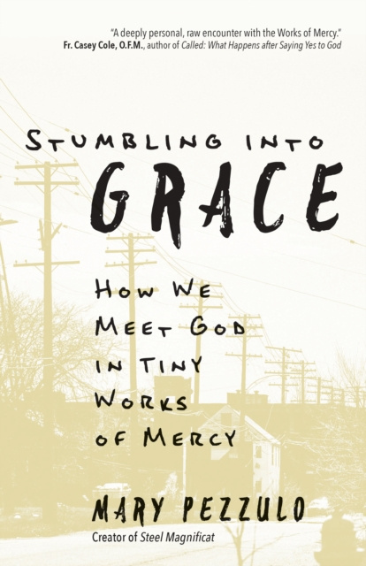 E-knjiga Stumbling into Grace Mary Pezzulo