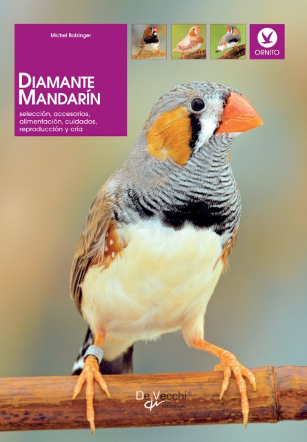 E-knjiga Diamante mandarin Dr. Bolzinger Dr. Michel Bolzinger