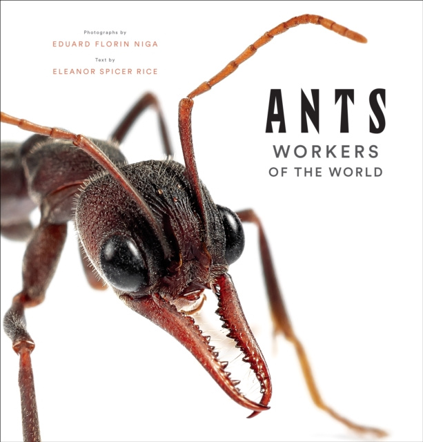 E-book Ants Spicer Rice Eleanor Spicer Rice