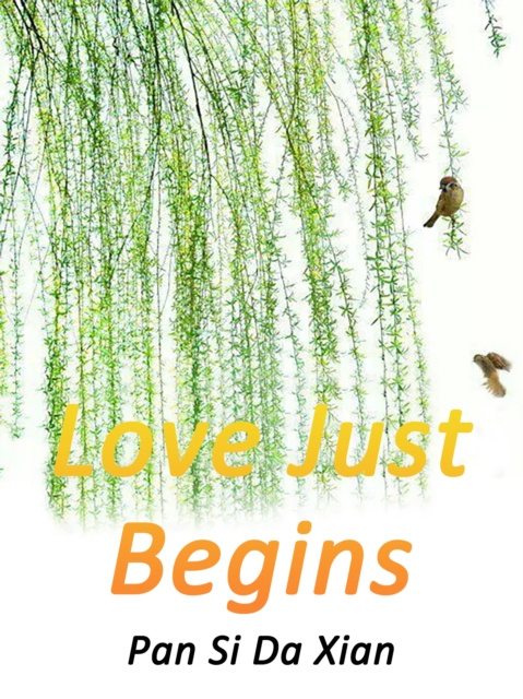 E-knjiga Love Just Begins Pan Sidaxian