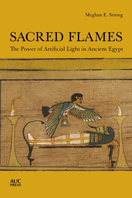 E-book Sacred Flames Meghan E. Strong