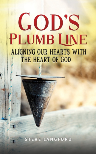 E-kniha God's Plumb Line Steve Langford