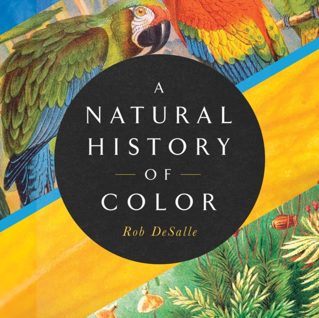 Audiokniha Natural History of Color Rob DeSalle