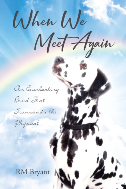 E-Book When We Meet Again RM Bryant