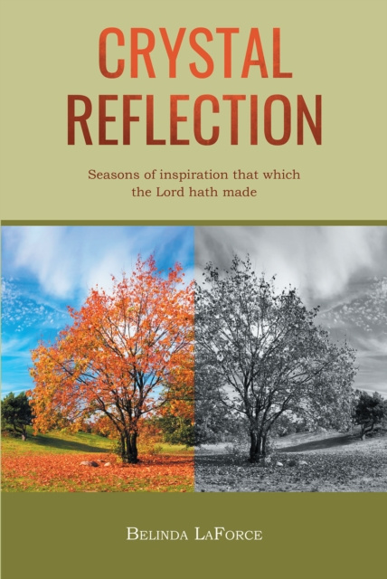 E-knjiga Crystal Reflection Belinda LaForce