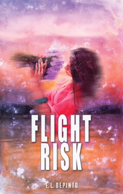 E-knjiga Flight Risk Erica DePinto