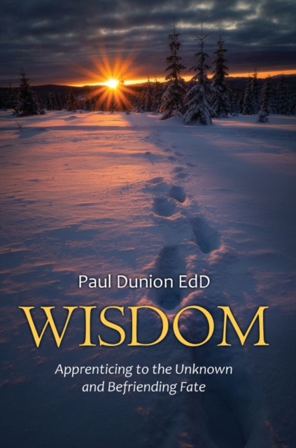 E-knjiga Wisdom Paul Dunion
