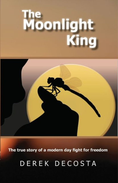 E-knjiga Moonlight King Derek DeCosta