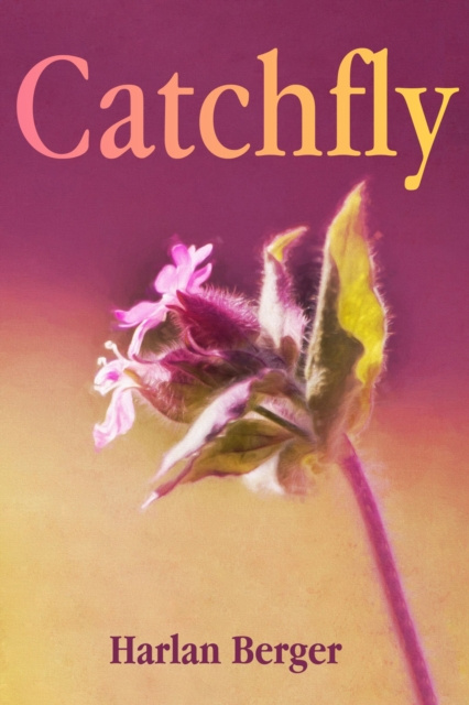 E-knjiga Catchfly Harlan Berger