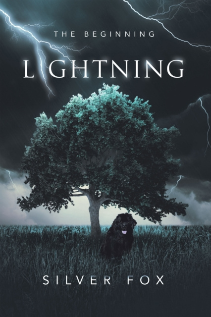 E-knjiga Lightning Silver Fox