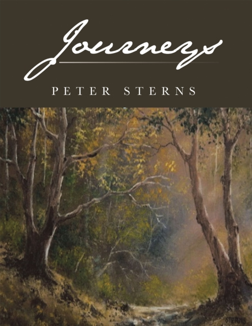 E-knjiga Journeys Peter Sterns