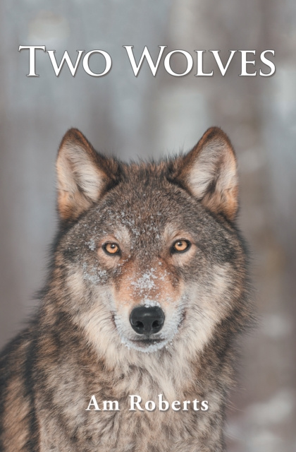 E-book Two Wolves Am Roberts