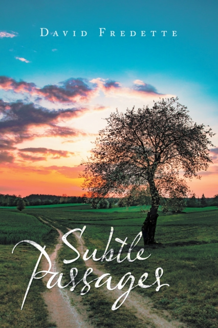 E-book Subtle Passages David Fredette