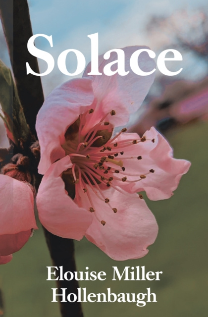 E-knjiga Solace Elouise Miller Hollenbaugh