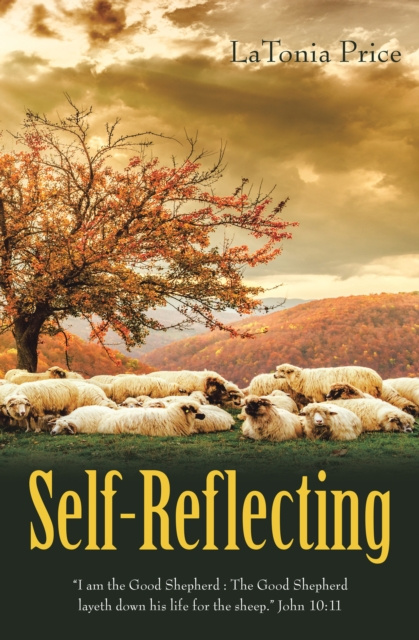 E-knjiga Self-Reflecting LaTonia Price