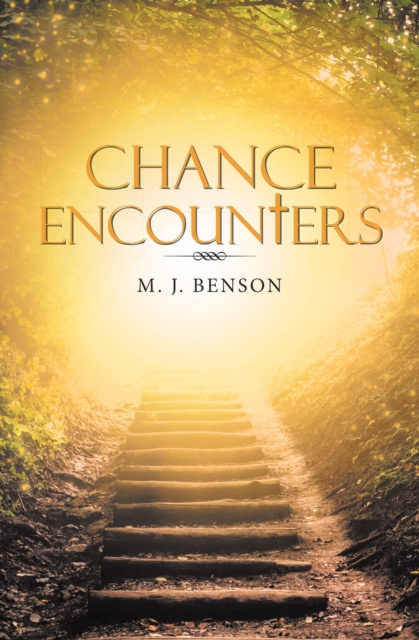 E-knjiga Chance Encounters M. J. Benson