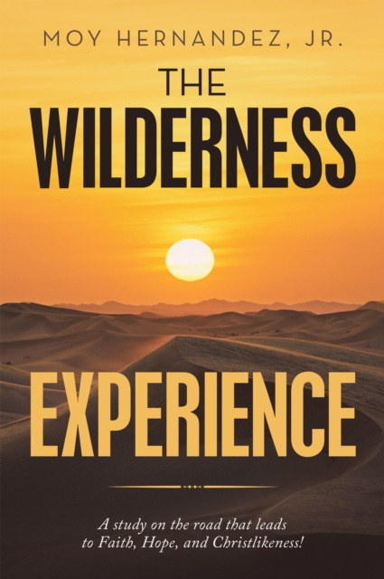 E-knjiga Wilderness Experience Moy Hernandez Jr.