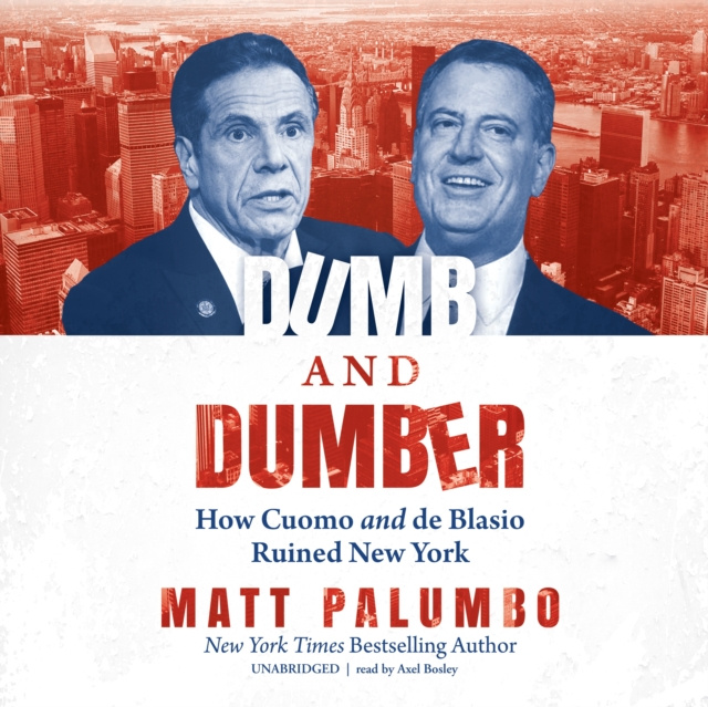 Hangoskönyv Dumb and Dumber Matt Palumbo