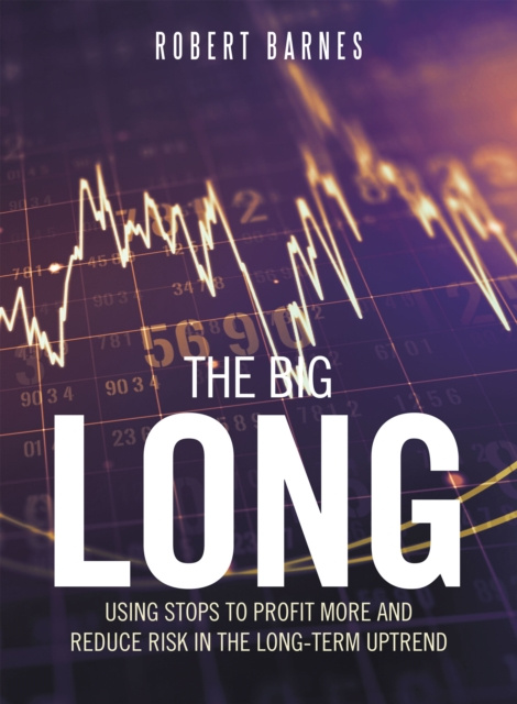 E-knjiga Big Long Robert Barnes