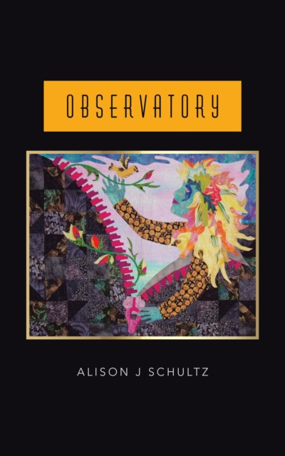 E-knjiga Observatory Alison J Schultz