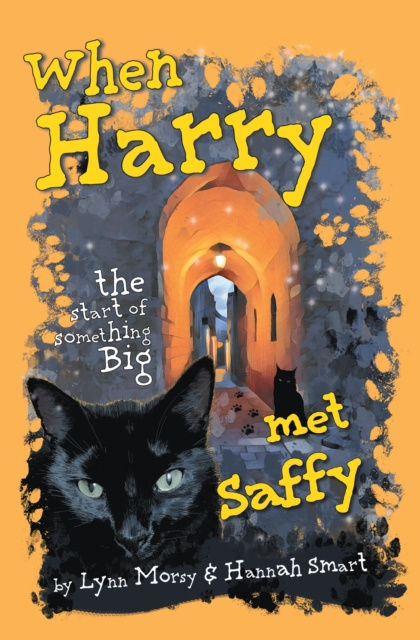 E-book When Harry Met Saffy Lynn Morsy