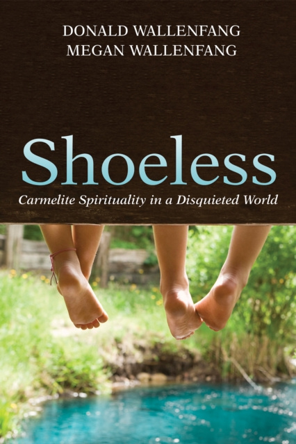 E-book Shoeless Donald Wallenfang