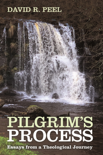 E-knjiga Pilgrim's Process David R. Peel